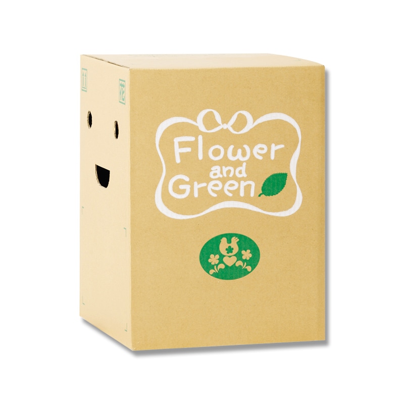 リード商事 花宅配用段ボール EB－1