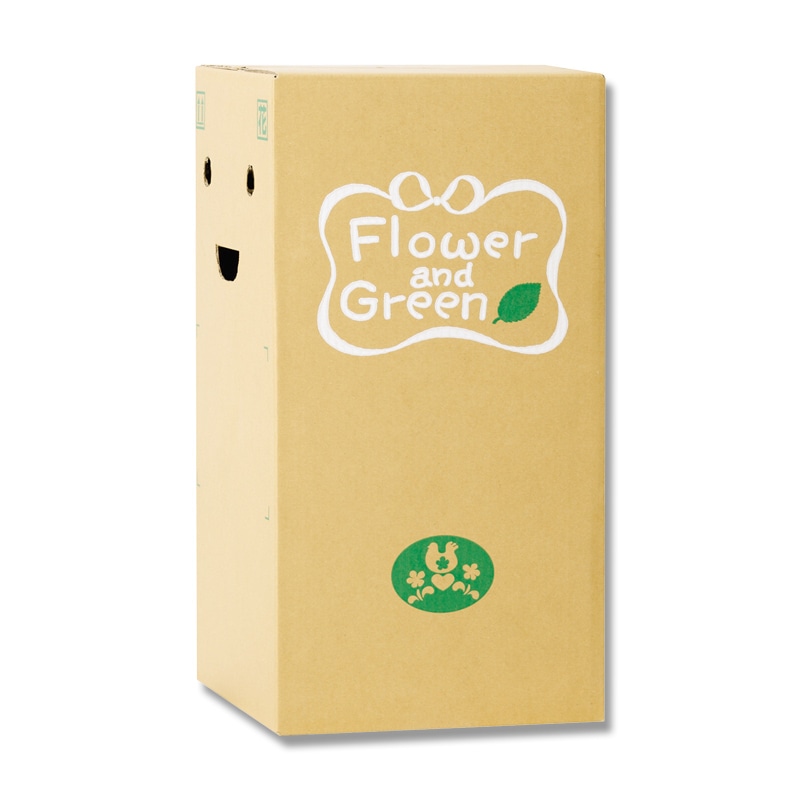 リード商事 花宅配用段ボール EB－2