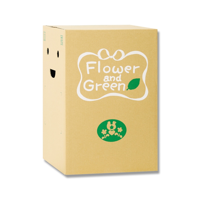 リード商事 花宅配用段ボール EB－3